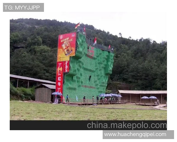 杭州攀岩队实力分析与表现评估探讨及未来发展方向研究 杭州攀岩队实力分析与表现评估探讨及未来发展方向研究