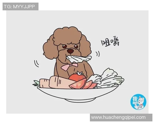 王伟独家分享排球心得与技巧助你提升球技的全面指南 王伟独家分享排球心得与技巧助你提升球技的全面指南